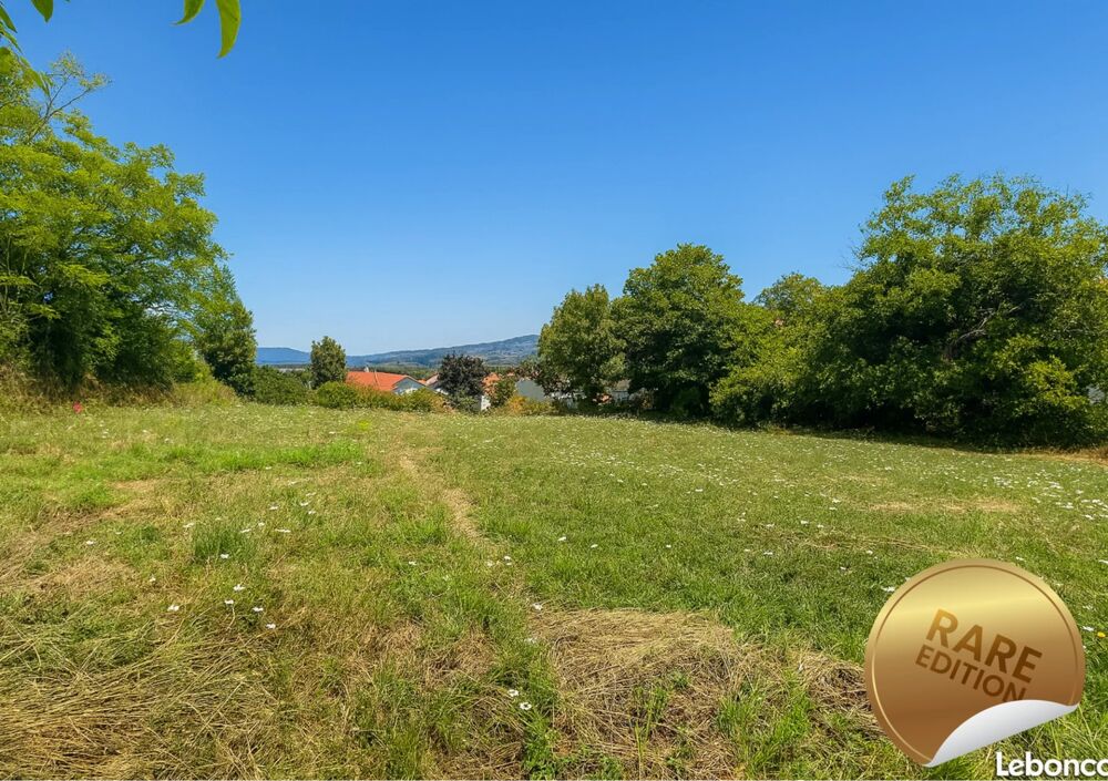 Vente Terrain Terrain Saint-martin-la-plaine
