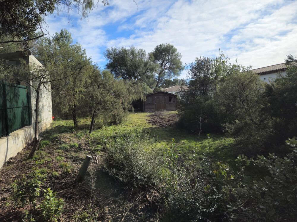 Vente Terrain Beau terrain constructible au Cannet-des-Maures Le cannet-des-maures