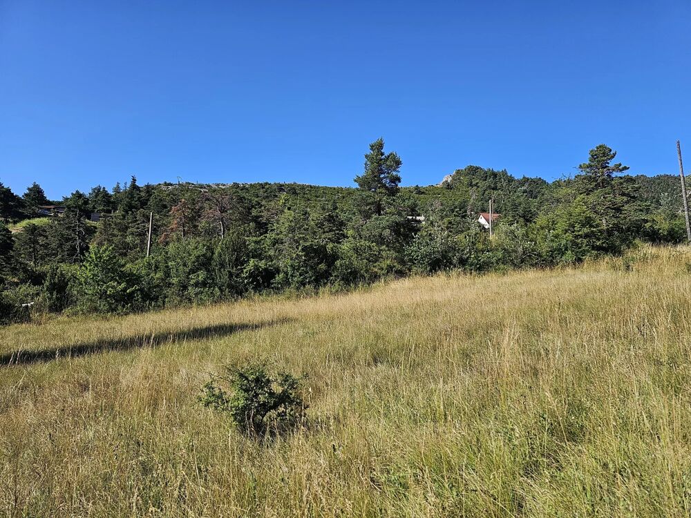 Vente Terrain À vendre  Terrain constructible à Andon (06750 Andon