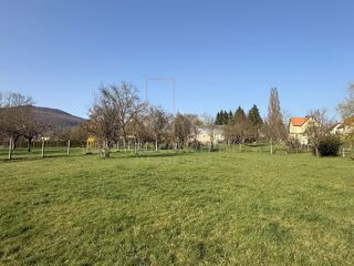  Terrain à vendre 8772 m²