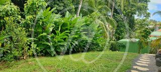  Appartement � louer 3 pi�ces 60 m�