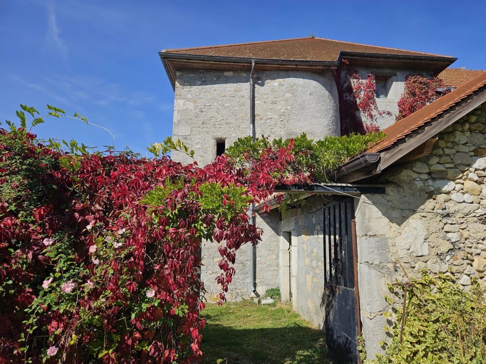 Vente Maison Maison/Villa 15 pièces Yenne