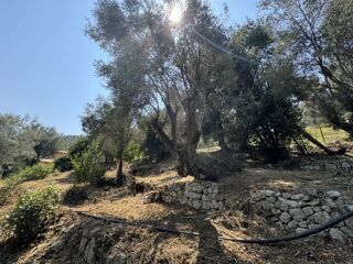  Terrain � vendre 900 m�