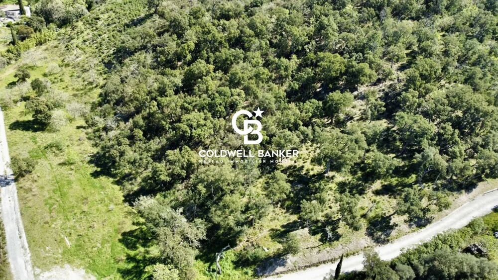 Vente Terrain Superbe terrain viabilisé avec permis de construire purgé, Empla Grimaud