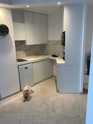  Appartement à louer 1 pièce 34 m²