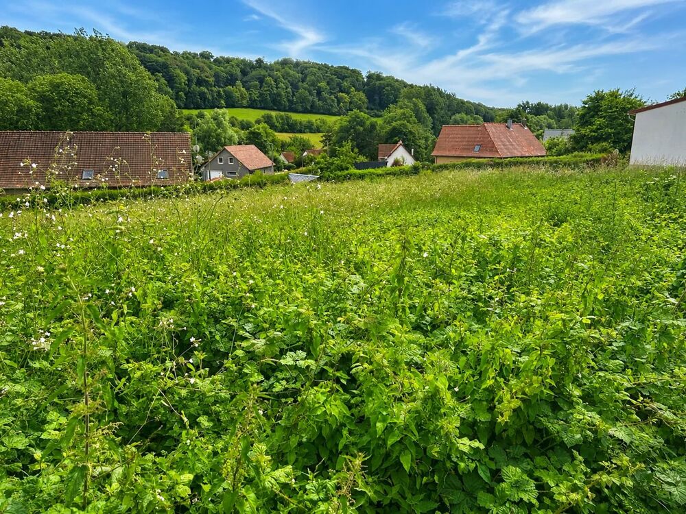 Vente Terrain TERRAIN A BATIR Embry