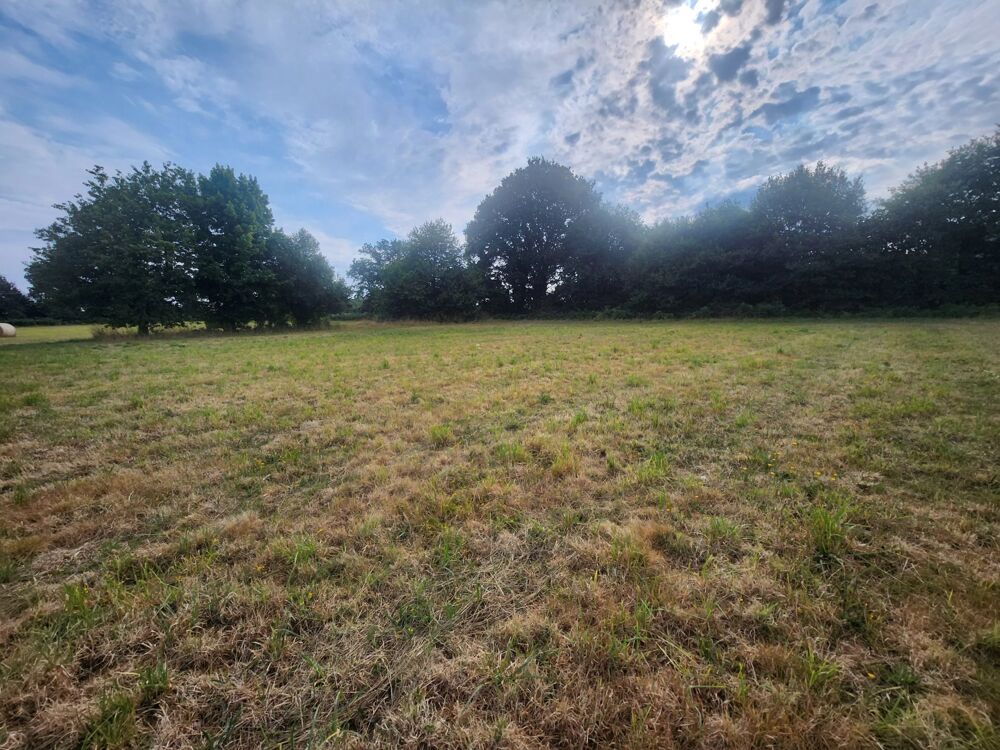 Vente Terrain Magnifique terrain constructible Carhaix-plouguer