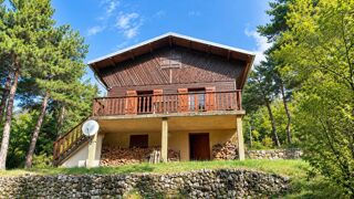 Vente Maison Chalet en bois avec terrasse plein sud et grand terrain arboré d Andon