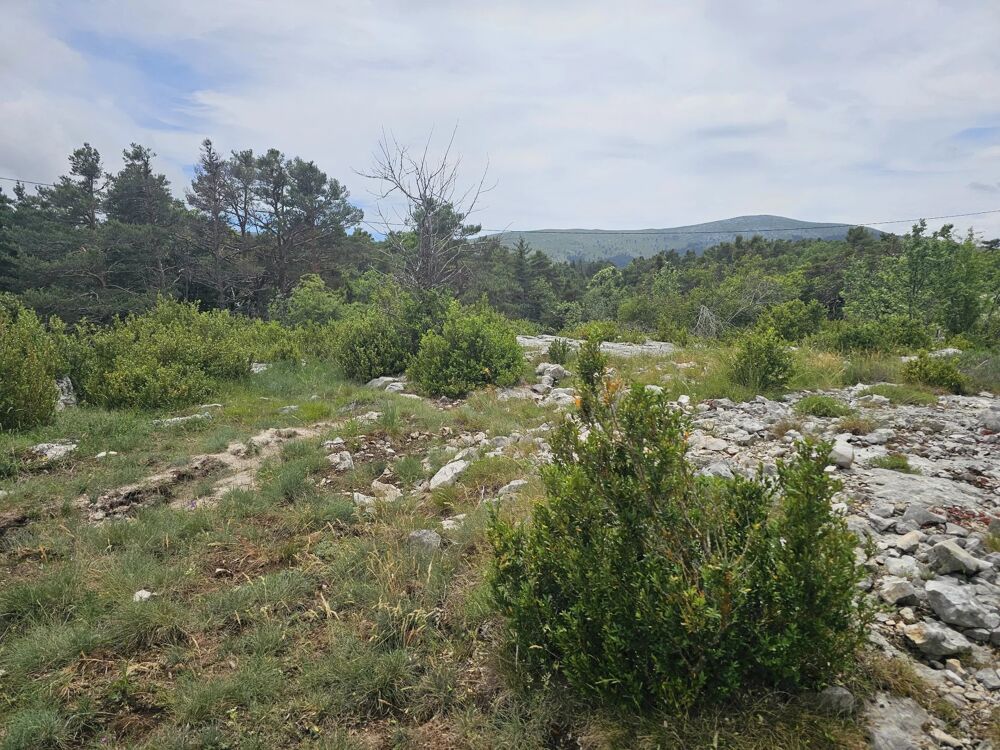 Vente Terrain Terrain constructible viabilisé à Caussols Caussols