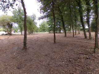  Terrain � vendre 4000 m� Theillay