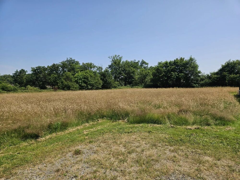 Vente Terrain Terrain plat 490 m² – Projet maison possible – Proche Feurs Civens
