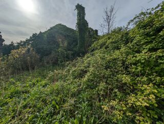  Maison � vendre 75 m�