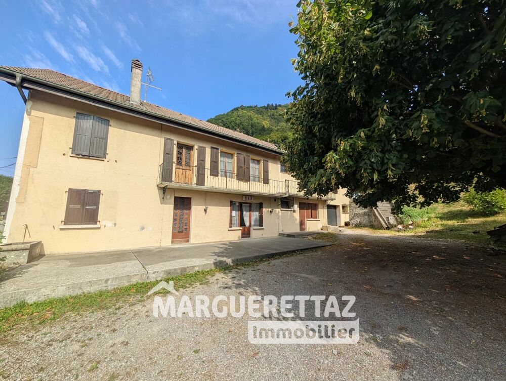 Local commercial + maison SAINT JEOIRE