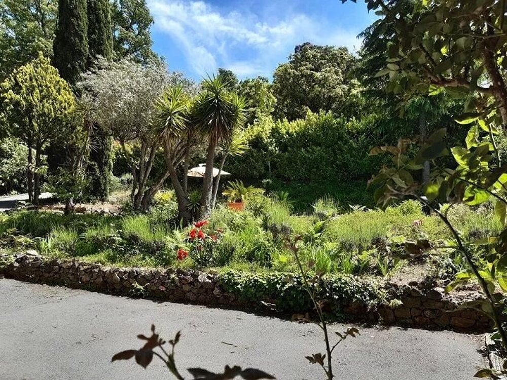 Location Appartement Studio meublé de 25m² avec accès piscine et pool house Fréjus