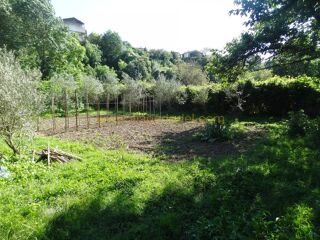  Maison � vendre 3 pi�ces 55 m�