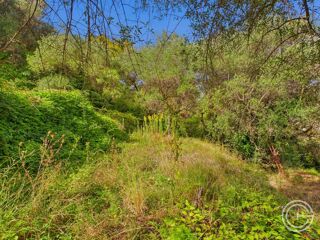  Terrain � vendre 1329 m�