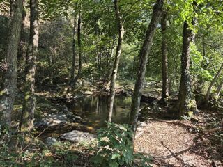  Terrain � vendre 11416 m�