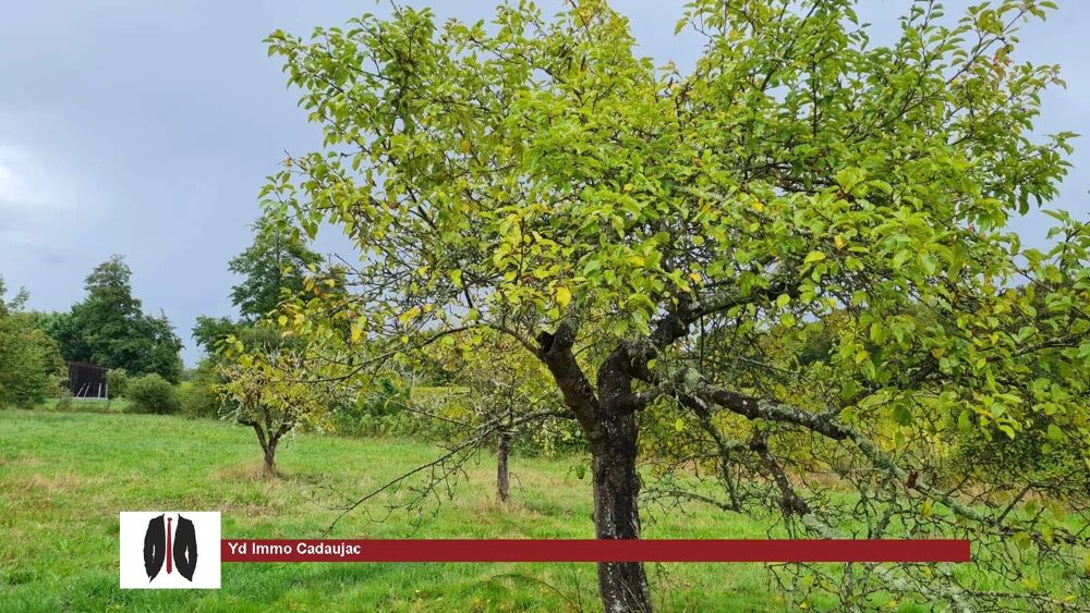 Vente Terrain Terrain Constructible 1200 m2 La brède