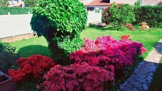  Maison � vendre 6 pi�ces 150 m�