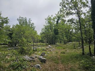  Terrain à vendre 17160 m²