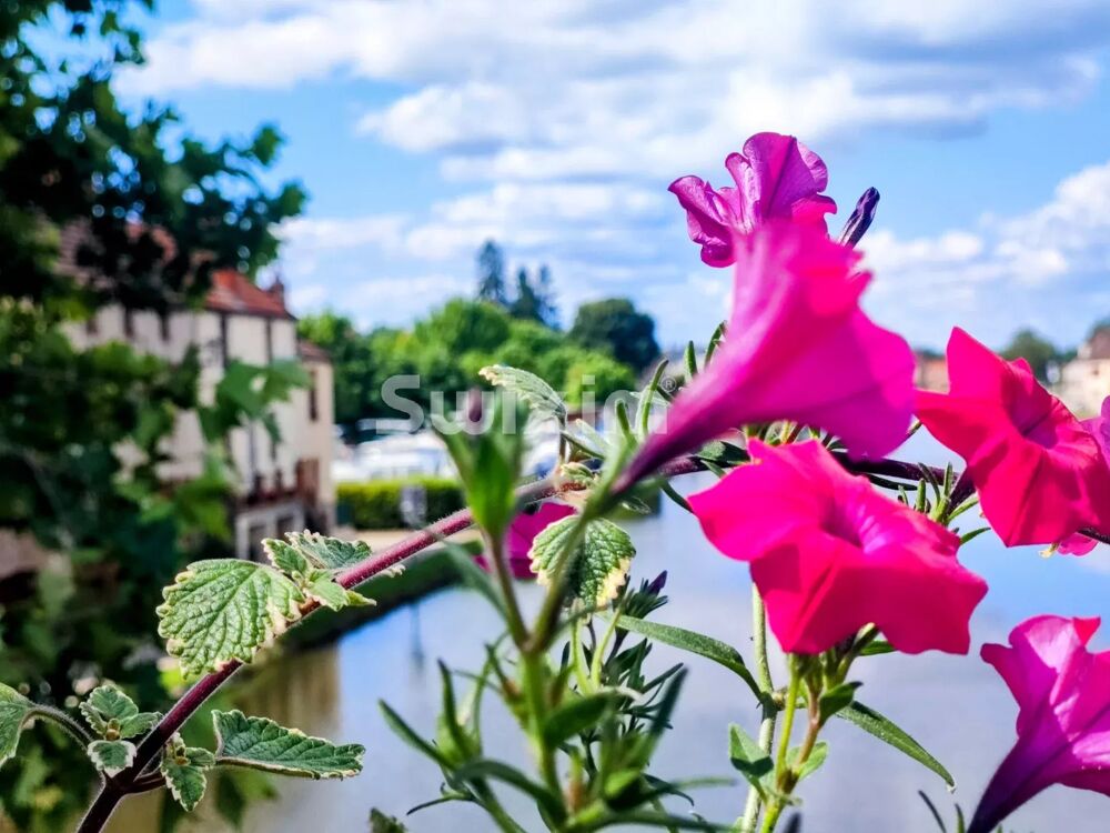 Vente Maison PROPRIETE DU  XVIIe Santenay