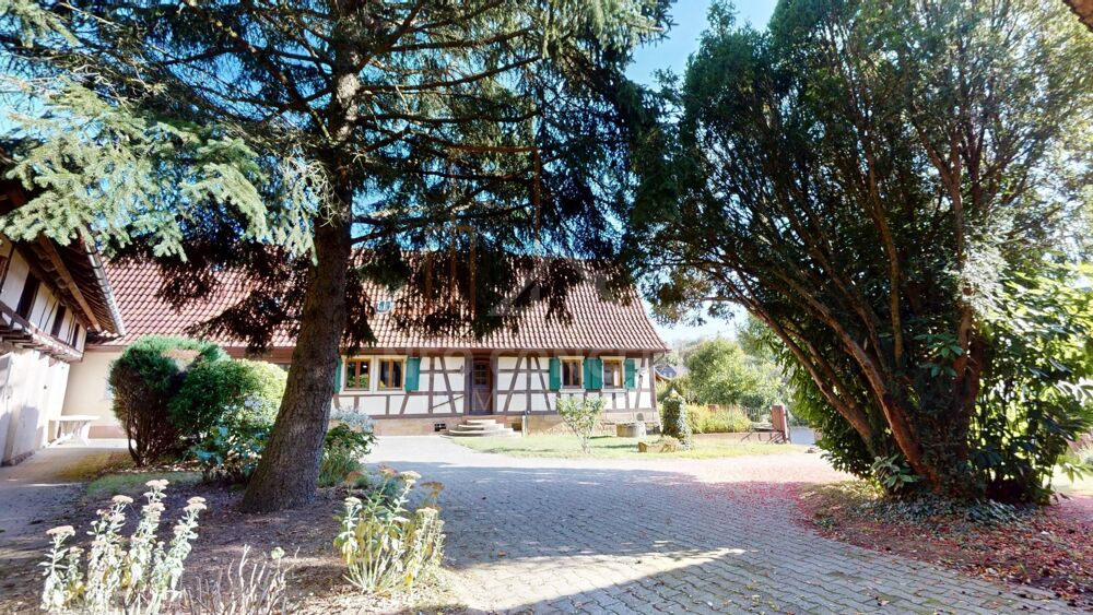Vente Maison Charmante maison alsacienne avec dépendances sur 59 ares de terr Wintzenbach