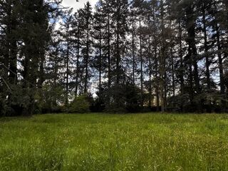  Terrain à vendre 650 m²