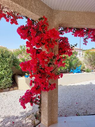  Maison � vendre 4 pi�ces 113 m�