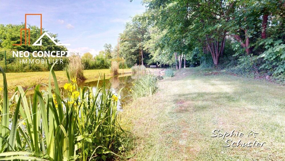 Propriété de caractère de plain-pied sur 1 hectare avec étang, p
