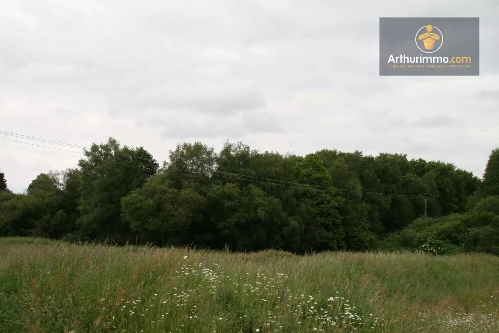 Vente Terrain CREDIN TERRAIN BOISÉ DE 5 hectares Crédin