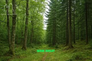  Terrain  vendre 4080 m