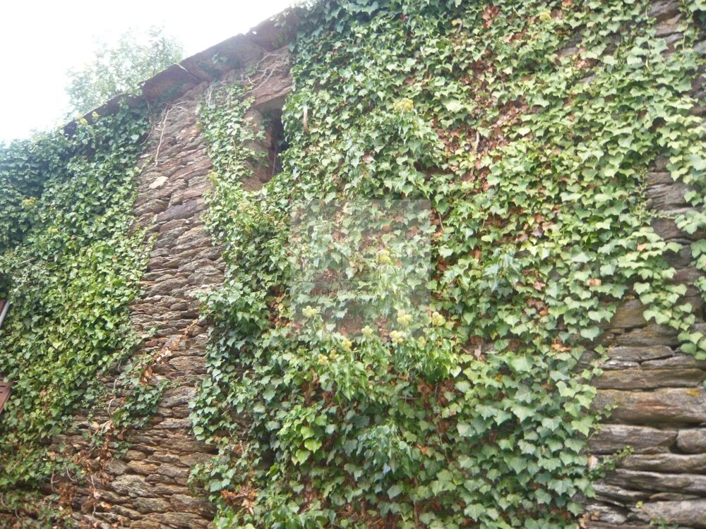 Vente Maison Maison avec terrain Le collet-de-d�ze