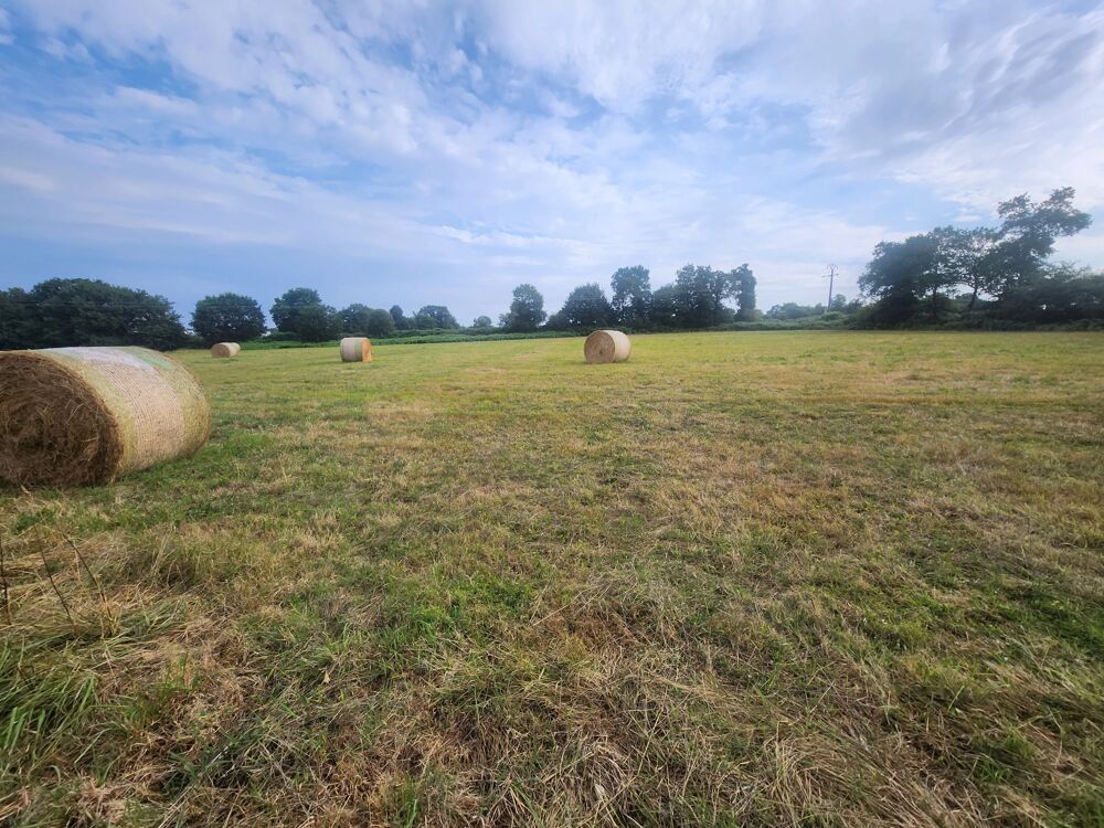 Vente Terrain Magnifique terrain constructible Carhaix-plouguer