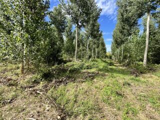  Terrain à vendre 81675 m²