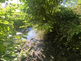  Terrain  vendre 655 m