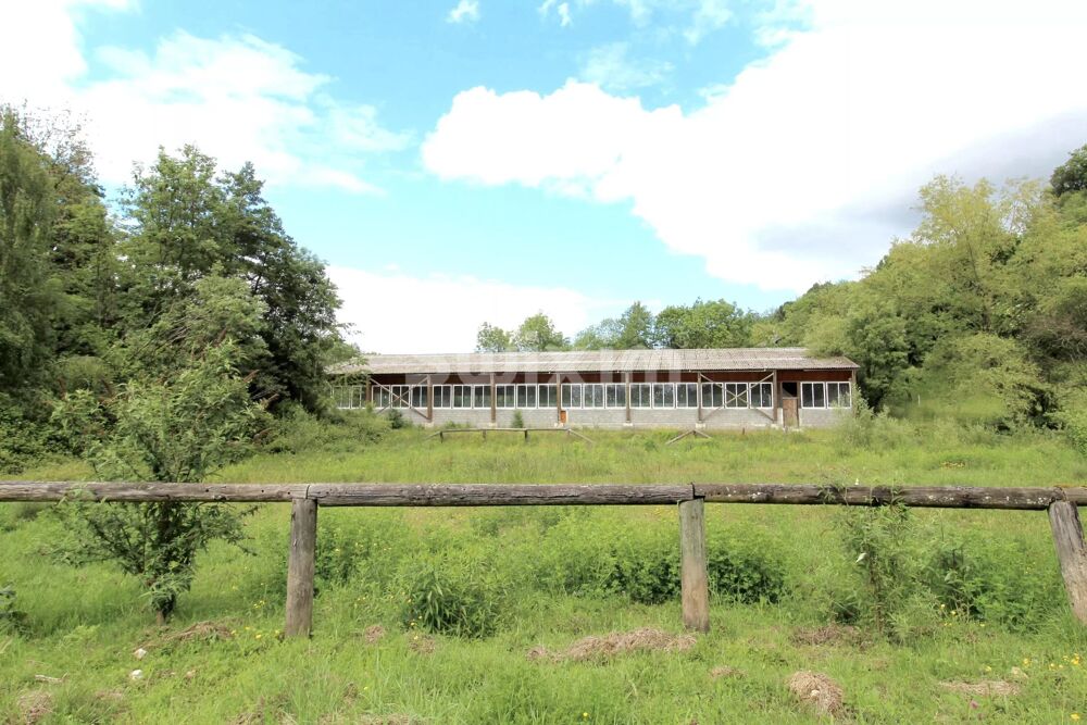Vente Maison Propriété équestre à fort potentiel avec 2 hectares proche de Ge Allinges
