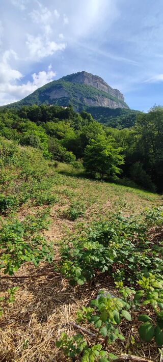  Terrain à vendre 1080 m²