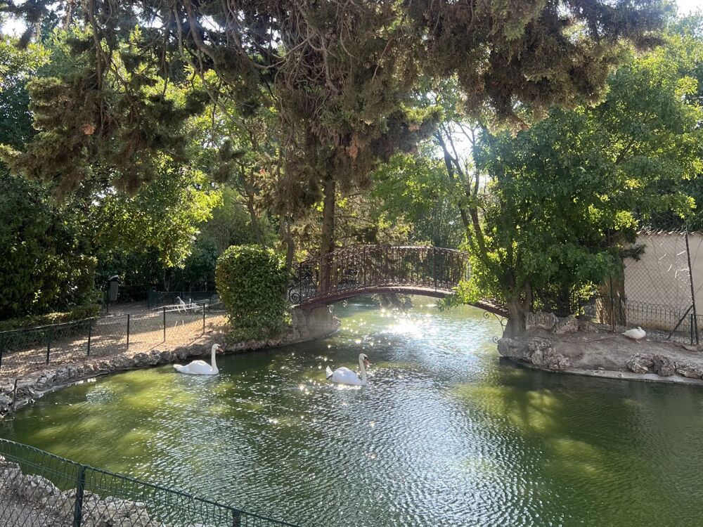 à vendre  Villa Olonzac (34210)