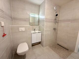  Appartement à louer 2 pièces 45 m²