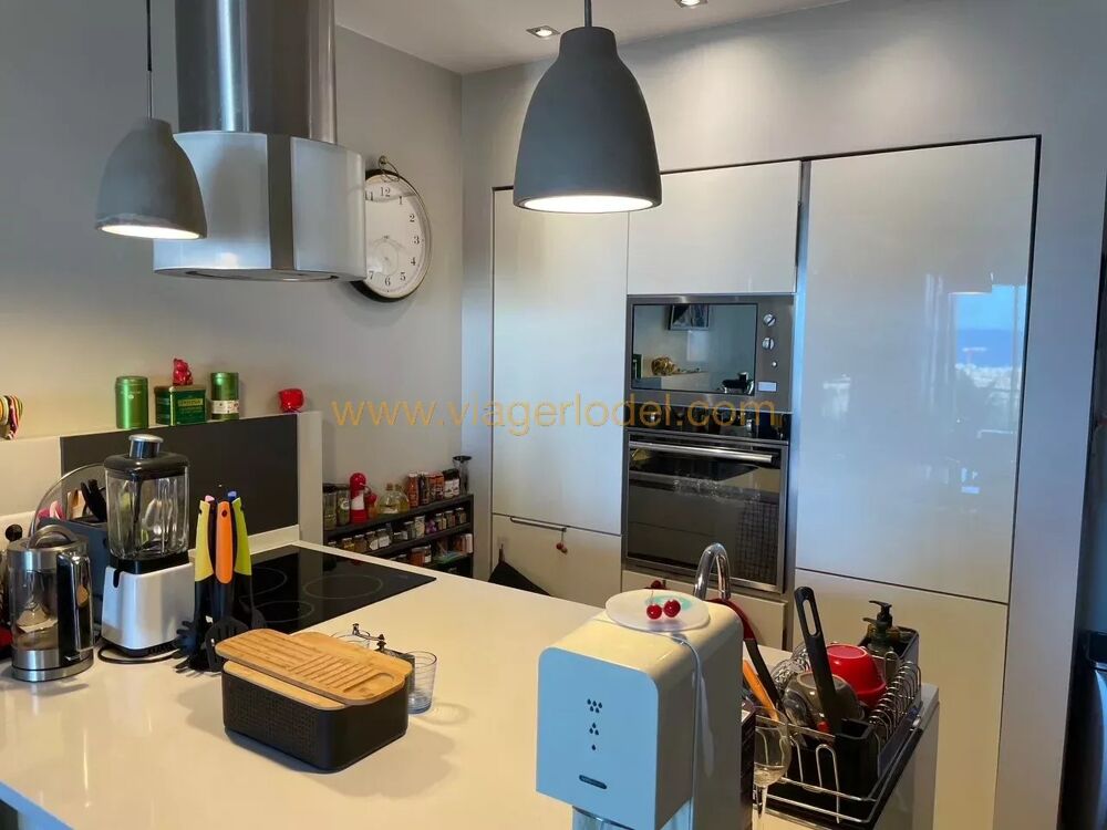 Vente Appartement Réf. annonce : 10 081 - VIAGER OCCUPE - NICE (06) Nice