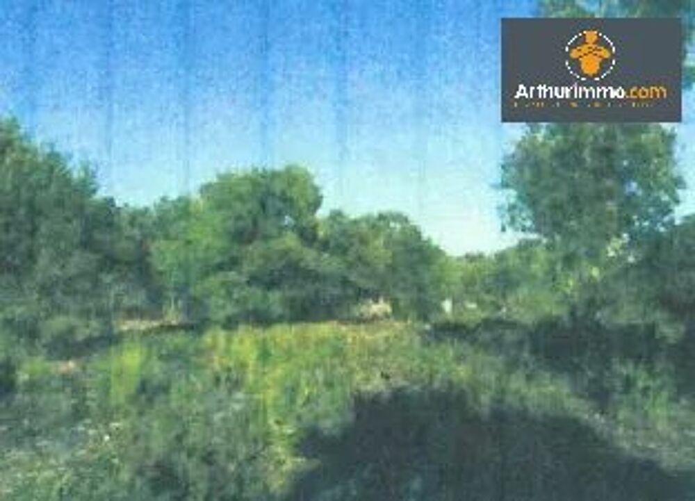 Vente Terrain TERRAIN BONIFACIO 23 600 m² - EXCLUSIVITE Bonifacio