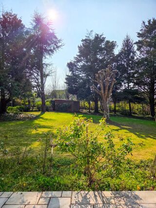  Terrain à vendre 1 pièce 2650 m²