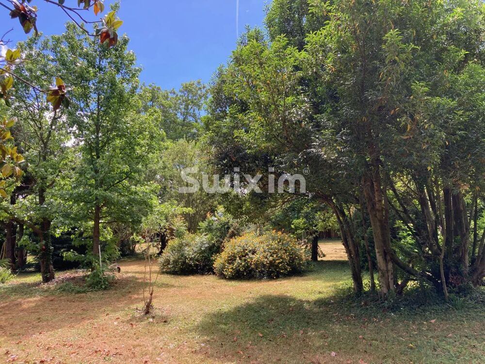 MAISON - 4 CHAMBRES - GRAND TERRAIN