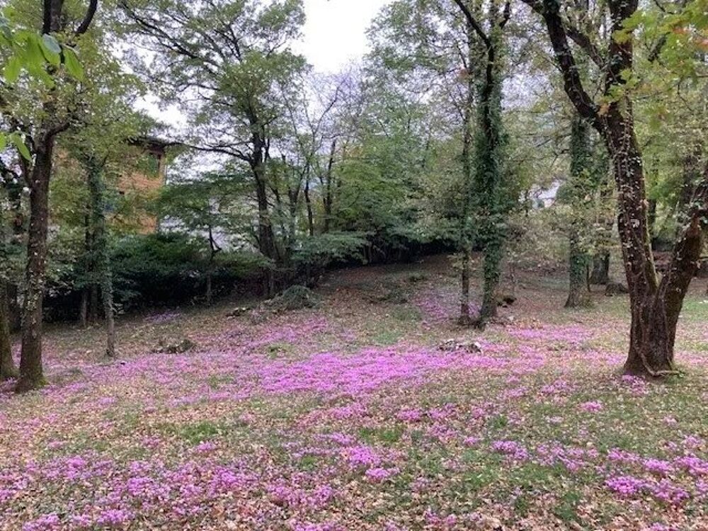 Vente Terrain VEUREY VOROIZE EXCLUSIVITE TERRAIN CONSTRUCTIBLE DE 2094M² Veurey-voroize