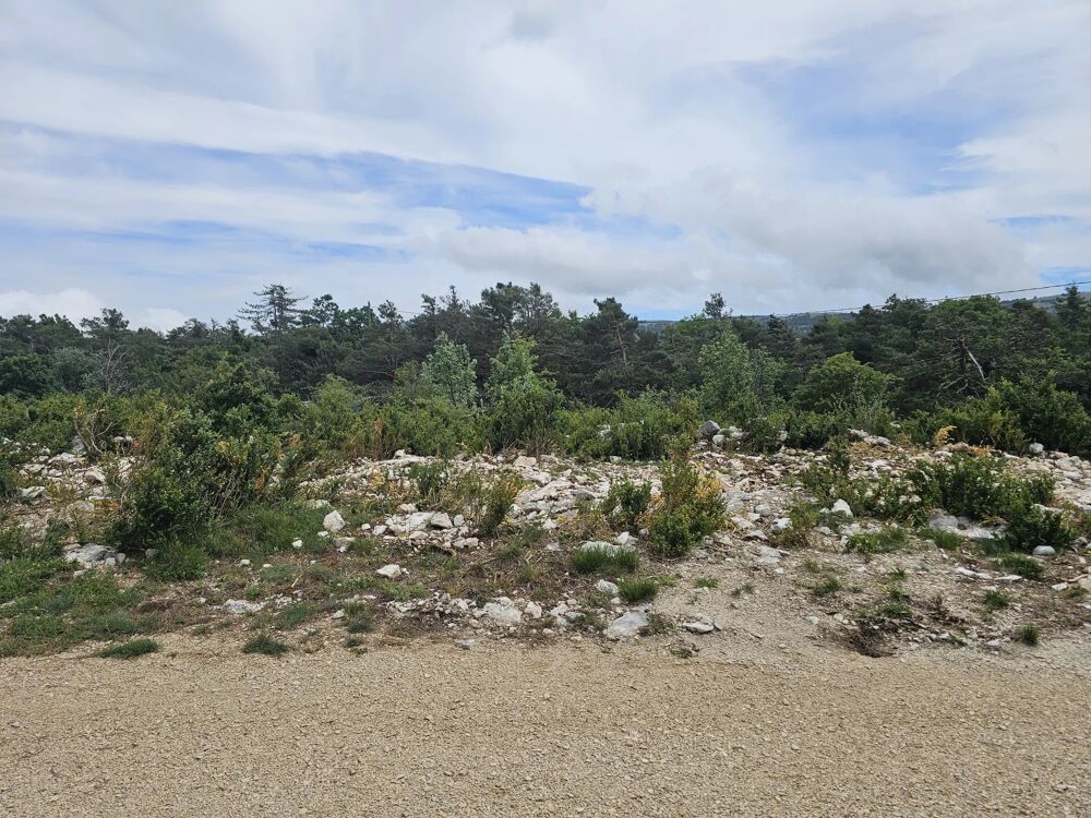 Vente Terrain Terrain constructible viabilisé à Caussols Caussols