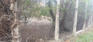  Terrain � vendre 252 m�