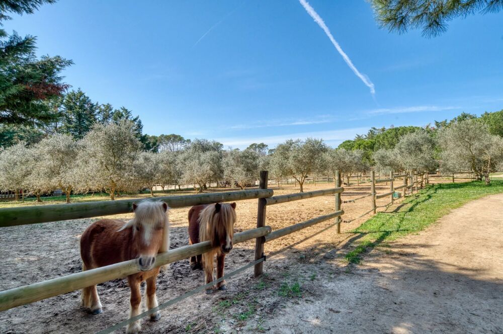 � vendre  Maison Brignoles (83170)