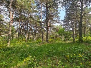  Terrain à vendre 2578 m²