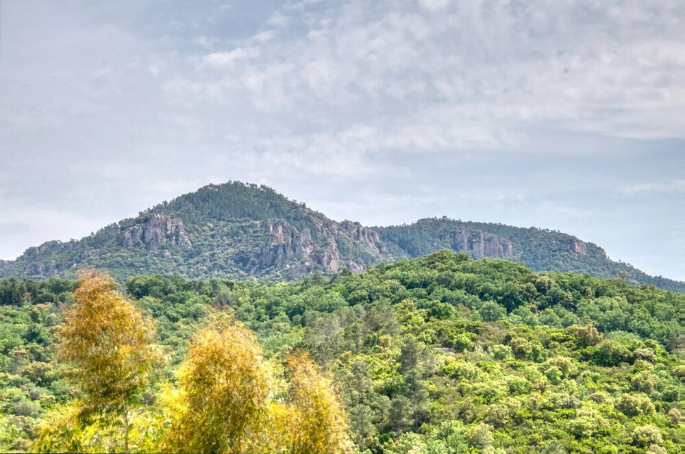  vendre  Villa Frjus (83600)