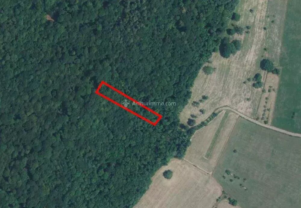 Vente Terrain Parcelle de bois Nijon